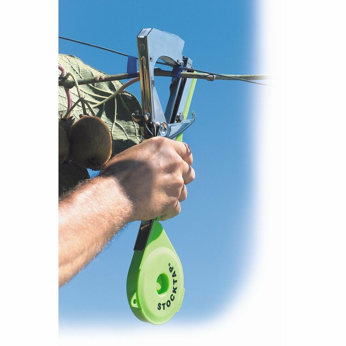 Tool Stocker Tool Stocker Green Restraints 36 x 36 cm - AllTime2Tech.com